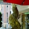 Tuscany By Luxurban - map