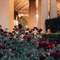 Palazzo Hotel - map