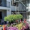 The Glebe Apartments - map