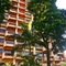 Flat Bassano Vaccarini - map