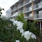Radisson Hotel Paramaribo - map