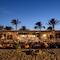 Desert Rose - map