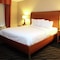 Hilton Garden Inn Chesapeake Suffolk - map