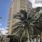 Salvia Cancun Aparts - map