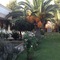 Hotel Kyriaki - map