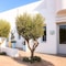 Mykonos Ammos Hotel - map