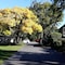 Ashleigh Court Motel-Christchurch Hagley Park - map