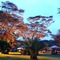 Muthu Lake Naivasha Country Club - map