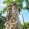 The Reserve At Paradisus Punta Cana - map