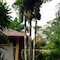 Palm Garden Resort - map