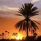 Djerba Orient - map