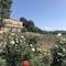 Son Menut - map