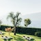 Hotel Orione - map