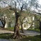 Borgo Verde-Uliveto - map