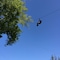 Gallo - map