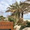 Hotel Capo San Vito - map