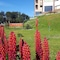 Altos Ushuaia Hotel & Resto - map