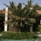 Hotel Jardin Savana Dakar - map