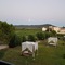 Eleni's Garden & Castello Suites - map