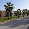 Bungalows Park Albufera - map