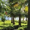 Villa Augusto Boutique Hotel - Boutique Class - map