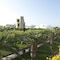 Cala Corvino Hotel Resort - map