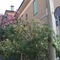 B&B Accorsi - map