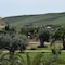 Desusino Residence & Hotel - map