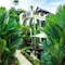 Palm Oasis Boutique Hotel - map