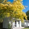 Picton Top10 Holiday Park - map