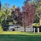 Mallacoota's Shady Gully Caravan Park - map