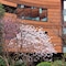 Hualuxe Shanghai Twelve At Hengshan By Ihg - map