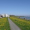 Seehotel Neue Liebe - map