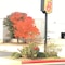 Super 8 By Wyndham Midwest City Ok - map