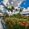 Aruba Blue Village - map