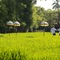 Alaya Resort Ubud - map