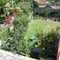 Suites Santo Domingo - map