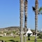 Astir Of Paros - map