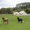 Muckross Riding Stables - map
