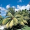Le Tropique Villa - Adults Only - map