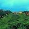 The Rainforest Ecolodge - map