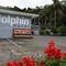 Dolphin Motel - map