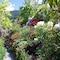 Larch Hill Bed & Breakfast - map