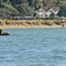 Beachfront Wellington Bed & Breakfast - map