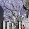 Park Hyatt Johannesburg - map