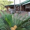 Chestnut Country Lodge - map