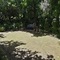 51 On Forest Drive - map