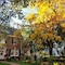 Pettigru Place Bed & Breakfast - map