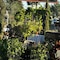 Chardonnay Lodge - map
