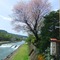 Sumiyoshi Ryokan - map
